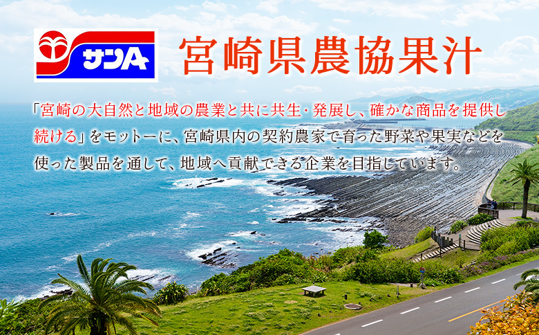【定期便 6か月】 霧島山麓の天然水 590ml×24本入 6回 サンＡ ミネラルウォーター 飲料水 常温保存 宮崎 6か月定期便