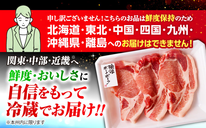 【6回定期便】 ※冷蔵配送/地域限定※ 岐阜県産 豚 瑞浪ボーノポーク ステーキ 1kg 食べ比べセット (リブロース・ロース・肩ロース) 瑞浪市 / きなぁた瑞浪 [AZCI060]