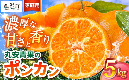 【2027年発送先行予約品】丸安青果のポンカン5キロ（家庭用) 【果物 フルーツ みかん 訳あり 家庭用 蜜柑 ポンカン 5kg 三重県 御浜町】