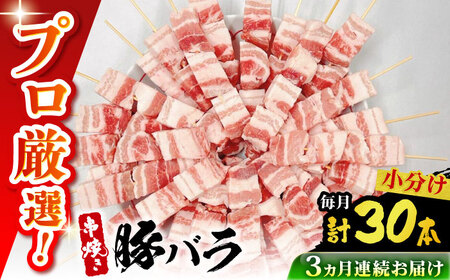 【3回定期便】国産 焼き鳥セット 豚バラ 30本 / やきとり ヤキトリ 焼鳥 串セット 国産 冷凍 小分け / 南島原市 / ふるさと企画[SBA090]