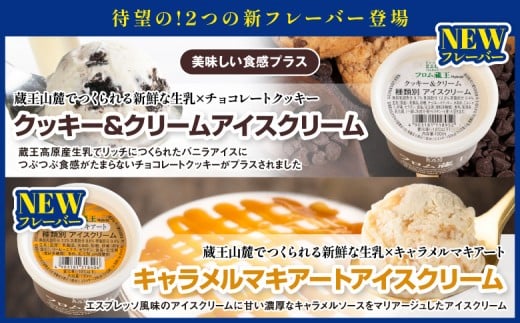 2個増量(24個+2個) 冬季限定 フロム蔵王マルチアイスクリームBOX ヘーゼルナッツチョコ入り