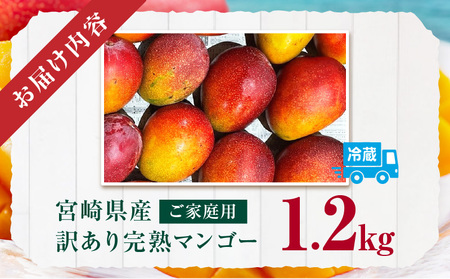 《2025年発送先行予約》宮崎県産 訳あり完熟マンゴー 1.2kg 訳あり 完熟マンゴー 果物