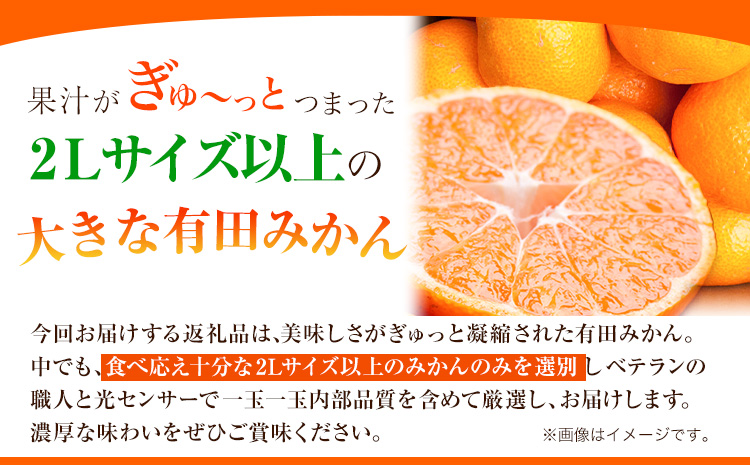 ＜先行予約＞家庭用　大きな有田みかん5kg+250g（傷み補償分）【わけあり・訳あり】【光センサー選果】 池田鹿蔵農園@日高町（池田農園株式会社）《11月中旬-1月下旬頃出荷》和歌山県 日高町