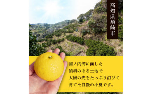 【早期予約 5月中旬～発送】 【 訳あり 】 小夏 ( 日向夏 ) 5kg 産地直送 ニューサマーオレンジ 無印 等級  旬 高知 県 須崎 産  柑橘 初夏 フルーツ 果物 こなつ コナツ ひゅうが