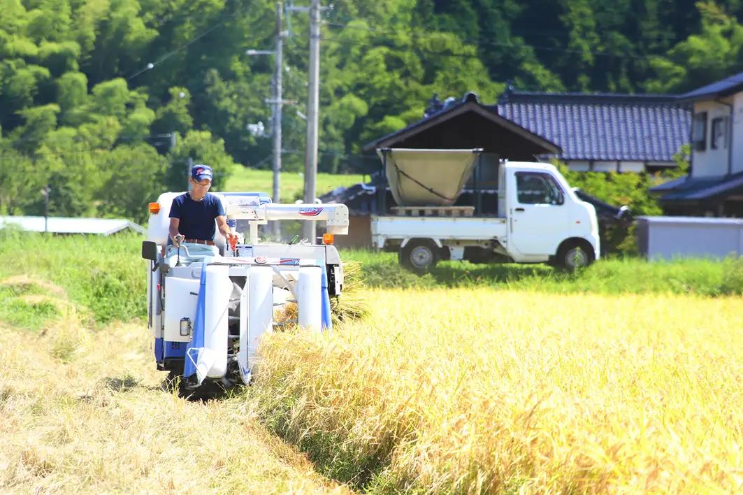 米 白米 R8年産 虹の煌めき 5kg【10月初旬発送開始】AS2BD29-6