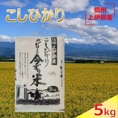 ふるさと納税 伊那市 令和6年産　コシヒカリ　今ずり米　5kg　1袋