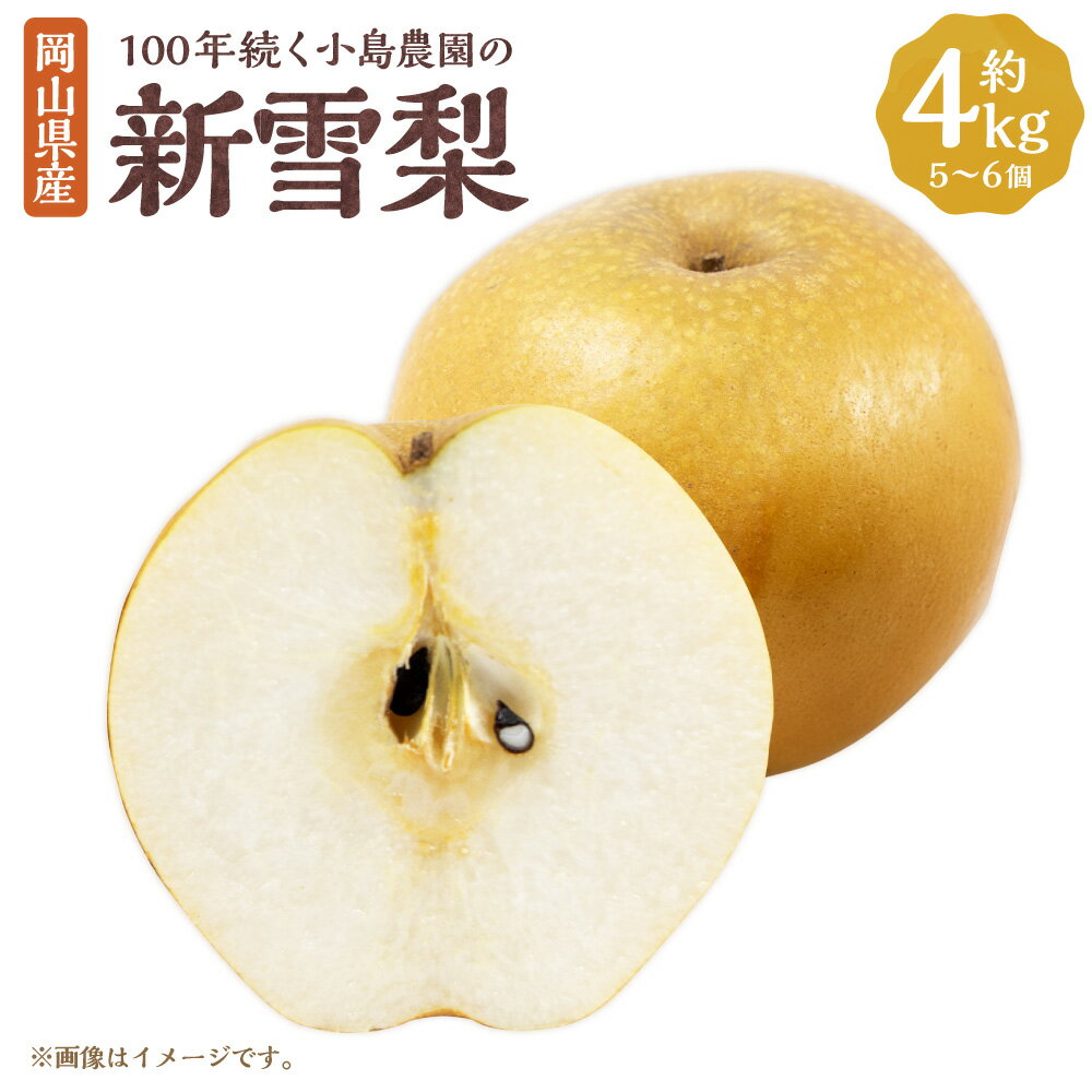 【ふるさと納税】100年続く小島農園の新雪梨 約4kg 5個～6個入り 梨 ナシ なし くだもの 果物 果実 フルーツ 岡山県産 国産 岡山県 美咲町 送料無料 【2025年11月上旬から12月上旬頃発送予定】