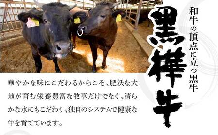 牛肉 A4-A5等級 ローススライス すき焼き用 250g×1パック