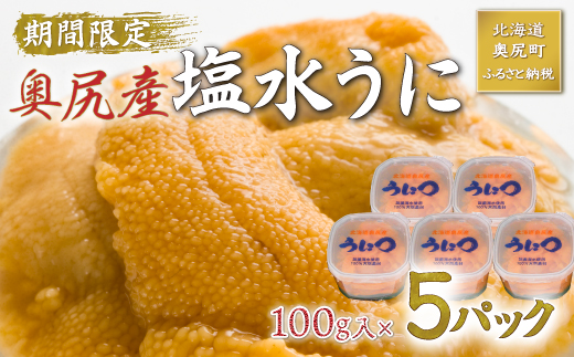 【2025年度先行予約】北海道奥尻産「キタムラサキウニ」500g （100g×5） (塩水パック)【期日指定不可】 OKUH013