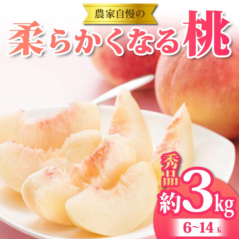 【ふるさと納税】 《2026年 先行予約》 農家自慢の柔らかくなる桃 約3kg(6～14玉) 果物 フルーツ FSY-2053