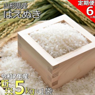 ふるさと納税 長井市 【定期便6ヶ月】【令和7年産新米】山形県産「はえぬき」5kg×1袋×6ヶ月_A191(R7)