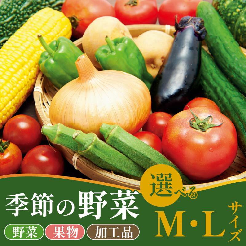 【ふるさと納税】 野菜 おすすめセット 選べる 容量 8～12種 10～15種 M L 詰め合わせ 加工品 常備菜 アスパラガス かぶ レタス 山菜 トマト きゅうり 枝豆 トウモロコシ なす オクラ かぼちゃ たまねぎ 里芋 さつまいも 長芋 ごぼう ねぎ にんじん 干柿 新潟 新発田 季節