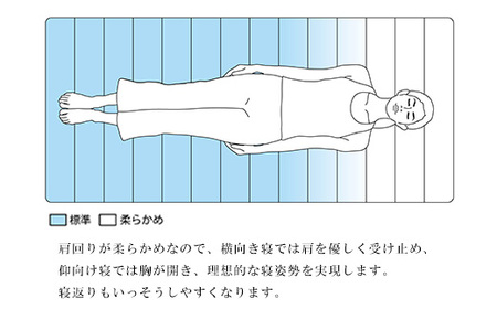 エアウィーヴ スマートZ01　特別仕様 シングル　折りたたみ 三つ折り マットレス マットレスパッド パッド 日本製 敷き布団 敷布団 コンパクト収納 寝具