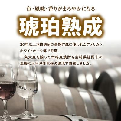 ふるさと納税 延岡市 天の刻印 秘伝 720ml×1【2025年度 Kura Master 麦部門 プラチナ賞】 |  | 02