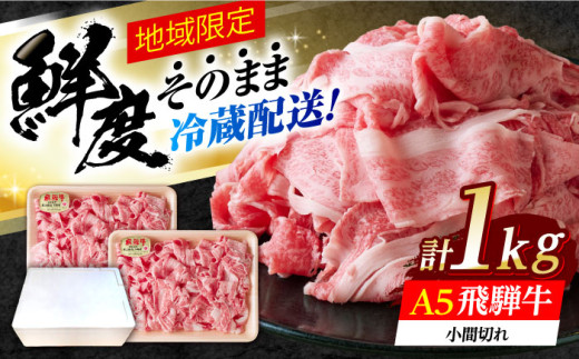 ※冷蔵配送/地域限定※ 飛騨牛 小間切 (大) 500g×2セット 瑞浪市 / きなぁた瑞浪 和牛 国産 岐阜県産 飛騨牛 小間切れ こま切れ こま 牛 牛肉 国産 黒毛和牛 冷蔵 [AZCI027]
