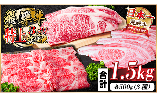 レビューキャンペーン実施中!【毎月定期便】飛騨牛 特上定期便 計1.5kg全3回　小分け【配送不可地域：離島】