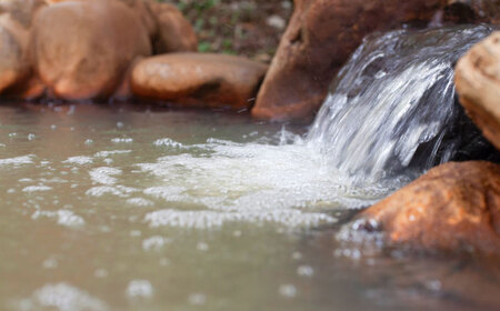温泉入浴券 大谷の湯 日帰り温泉 入浴券 12枚【社会福祉法人青生会】[BHCM002]