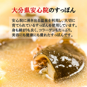 5個セットすっぽんスープ おでん にんにく すっぽん スッポンスープ 料理 エキス 国産 野菜 グルメ 老舗 全国 取り寄せ 取り寄せグルメ コラーゲン 液体 美容 精力 効果 ギフト プレゼント お