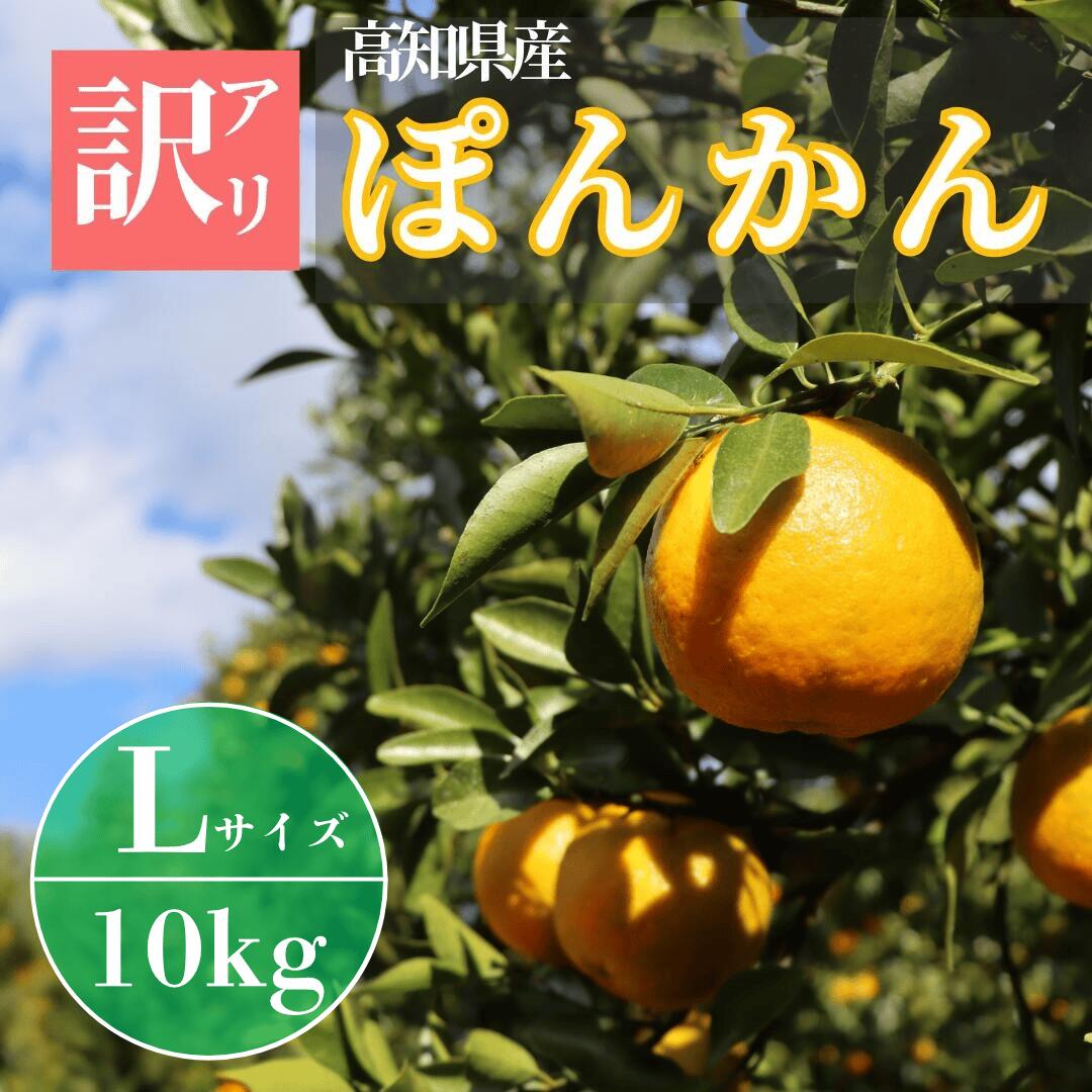 【ふるさと納税】TM004-3 徳村の訳アリぽんかん Lサイズ＜10kg＞国産 東洋町産 甘い コク ジューシー 果肉 高知県 東洋町 四国 お取り寄せ フルーツ 果物 家庭用 自宅用 送料無料