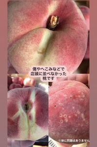見た目が理由の訳あり桃 約2kg（5～9玉）【2025年発送】（HCF）A07-845【桃 訳あり もも モモ 令和7年発送 期間限定 山梨県産 甲州市 フルーツ 果物】