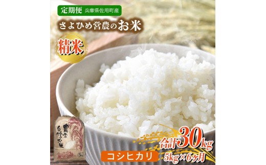 【6ヵ月定期便】兵庫県佐用町産 お米 5kg×6ヵ月 (計30kg) 精米 コシヒカリ