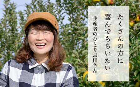 【訳あり】 シナノゴールド 約3kg 6～12玉 ［おぶせファーマーズ］ 不揃い 規格外 家庭用  果物 フルーツ りんご 林檎 リンゴ 長野県産 信州産 令和8年産 【2026年10月中旬～2027