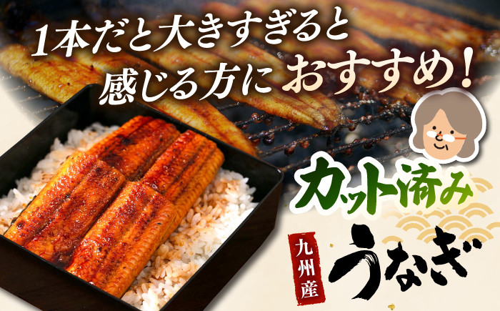 九州産　カット済み うなぎ 蒲焼き 定期便