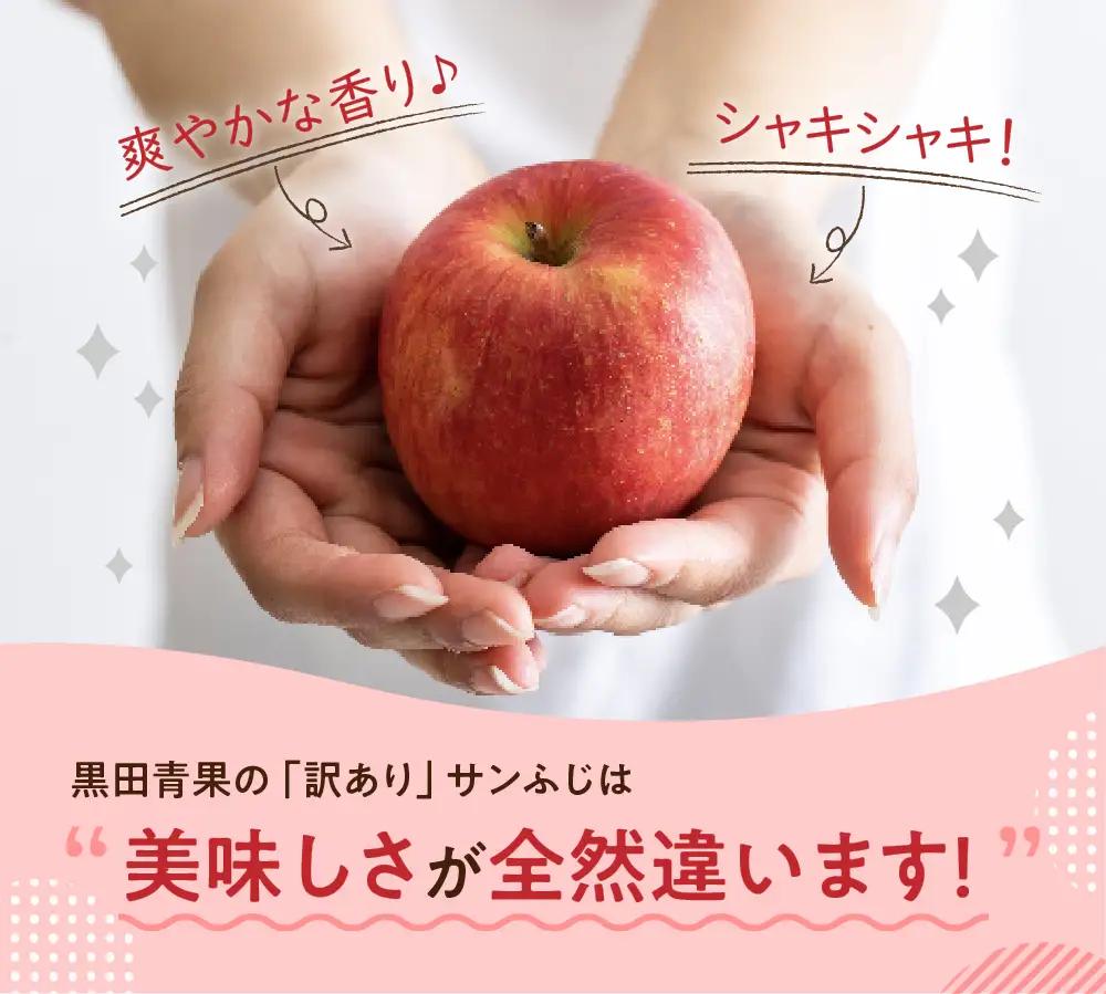 【2027年2月後半発送】【ちょっと訳あり】 りんご 約10kg サンふじ 青森県産 りんご