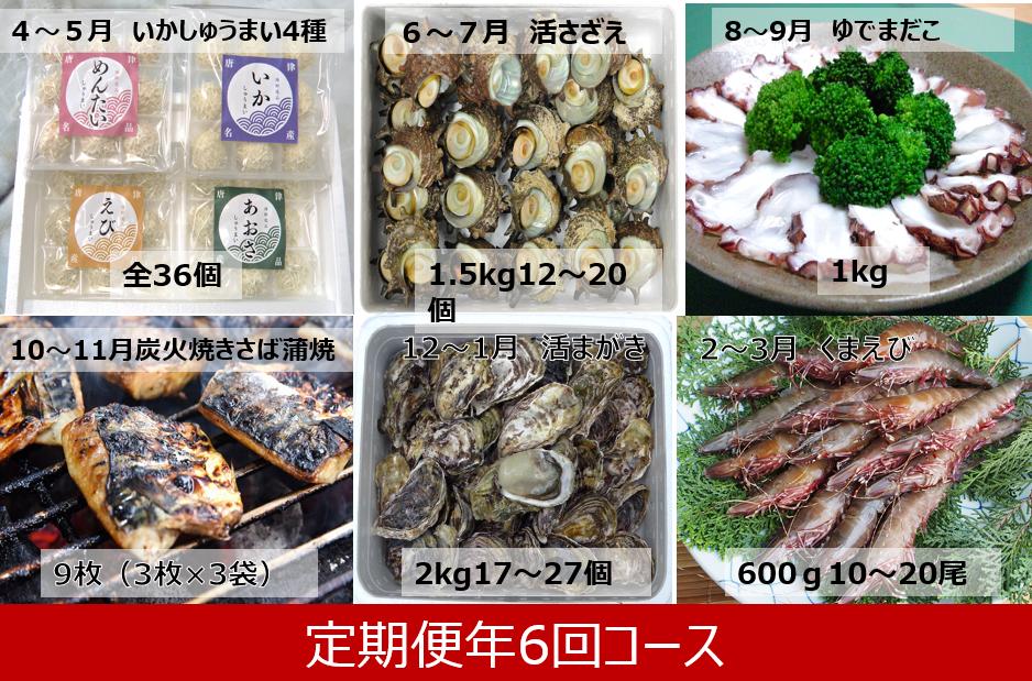 
            【定期便】「佐賀の海の幸　定期便　年6回コース」（いかしゅうまい４種詰合せ、活さざえ、ゆでまだこ、炭火焼きさば蒲焼 、活まがき、天然くまえび）
          