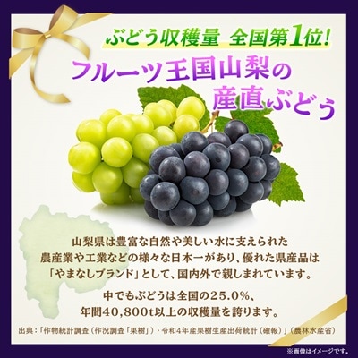 山梨市産「巨峰(種なし)」詰め合わせ(約500g×3房)【配送不可地域：離島・沖縄県】