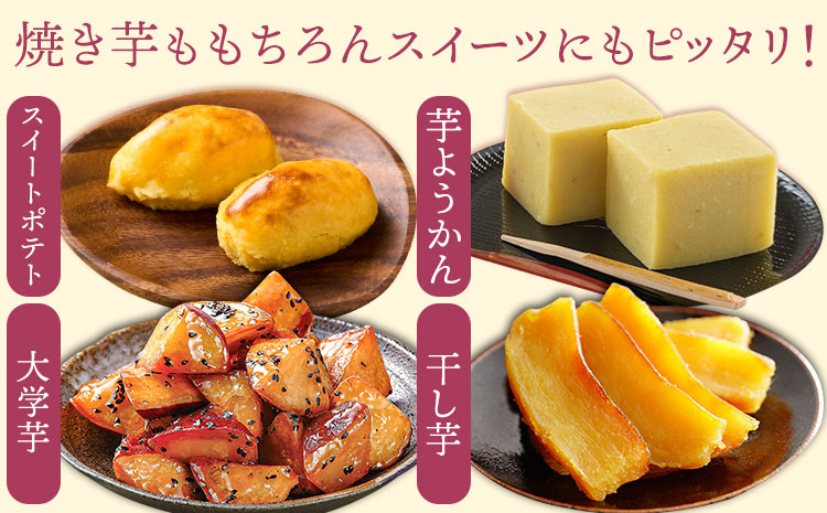 さつまいも 紅はるか 約5kg(9-38個) 株式会社GGYパッケージ《2025年11月下旬-2026年4月上旬頃出荷》熊本県 菊池市 さつまいも 紅はるか 芋 いも 野菜 国産 焼き芋 スイートポテ