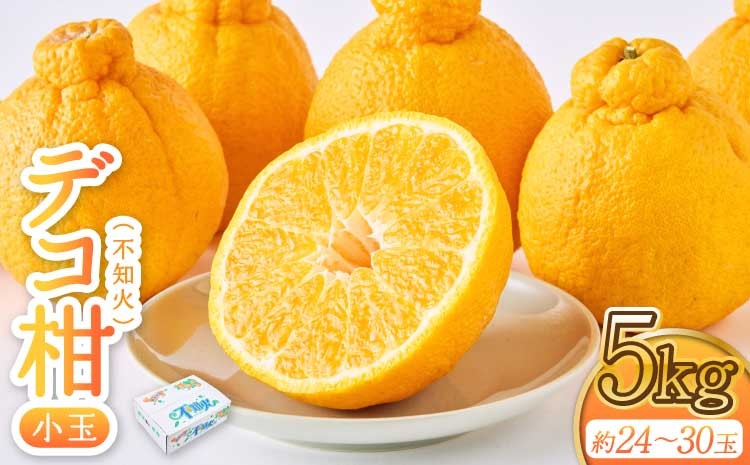 
            先行予約 不知火 果実の宝箱小玉デコ柑不知火 約5kg 24玉～30玉 【2026年3月上旬から5月下旬発送予定】 しらぬい 柑橘 みかん ミカン 蜜柑 小玉 九州産 熊本県産 宇城市産 国産 田辺農園
          