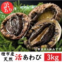 【ふるさと納税】種市産天然活あわび(訳あり) 24～33個程度(約3kg) 冷蔵 鮑 お刺身 ステーキ 産地直送