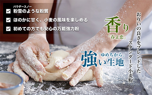 【毎月定期便】北海道産 「春よ恋」「ゆめちから」ブレンド小麦粉 パウダースノー（パン用強力粉）2.5kg 全4回 MROBI042