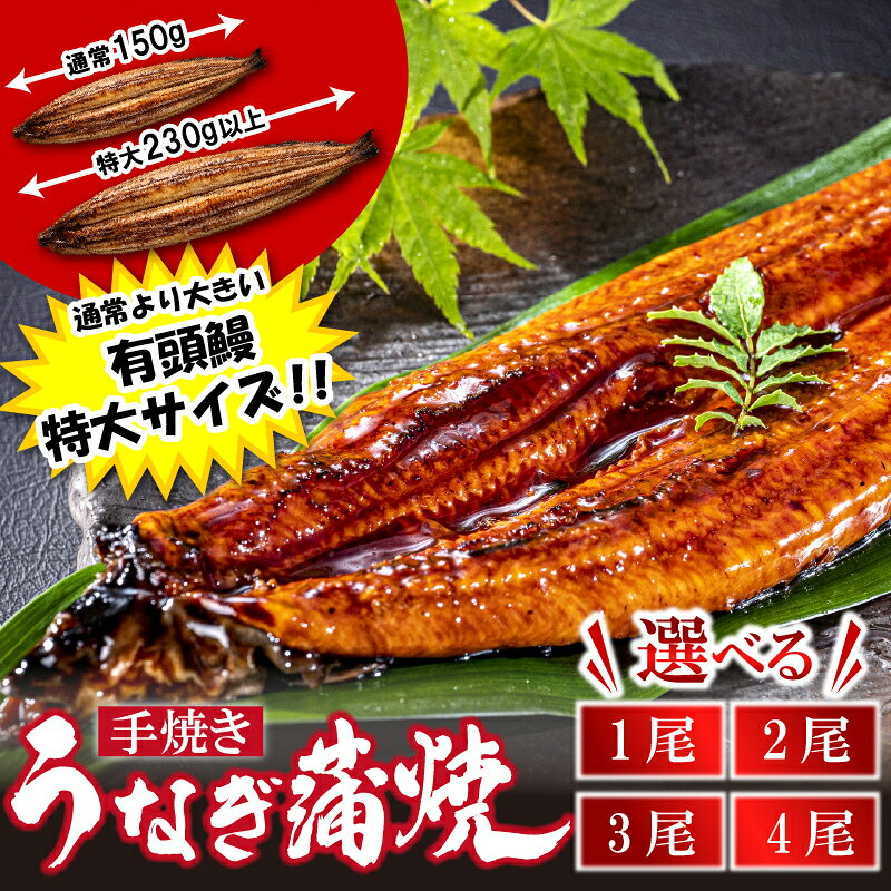 【ふるさと納税】〈いろは〉特大サイズ1尾(230g以上) 有頭うなぎ蒲焼 国産 1尾 2尾 3尾 4尾 [M1022] ウナギ 鰻 炭火焼き 肉厚 うな重 ランキング 土用の丑の日 鹿児島県 人気 オススメ 宮若市