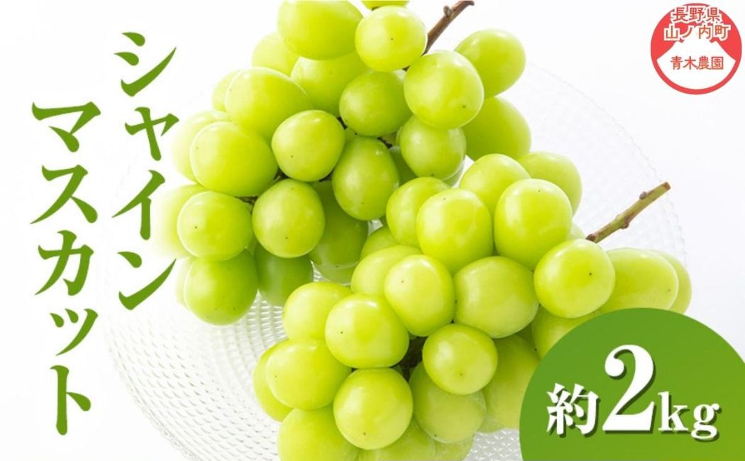 【2026年9月～発送】シャインマスカット約2kg 4～6房 長野県産