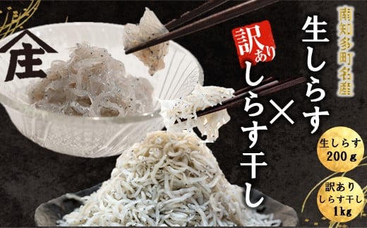 生しらす 200g 訳ありしらす干し 1kg セット 冷凍 刺身 真空パック しらす干し 炒飯 パスタ ごはん 丼 サラダ 魚 料理 愛知県 南知多町 師崎 シラス しらす 小魚 魚貝 魚貝類 しらす シラス 海鮮 しらす丼 シラス丼 ふるさと納税しらすしらす おすすめ 大人気 南知多産しらす愛知県産しらす 