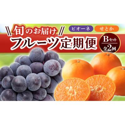 ふるさと納税 琴平町 【発送月固定定期便】香川県・三豊市共通返礼品　フルーツ旬の果物　Bセット全2回
