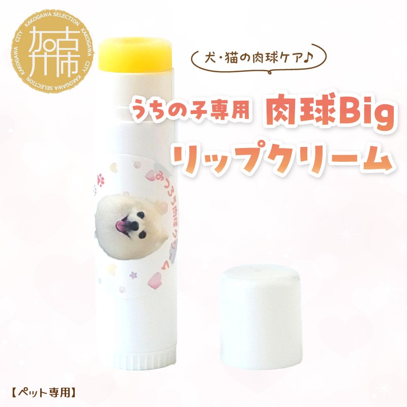 【ふるさと納税】【ペット専用】うちの子専用肉球 Bigリップクリーム 《 ペットグッズ 愛犬 ケア 国産みつろう100% オーガニック スティックタイプ 大容量 オーガニック ホホバオイル 》