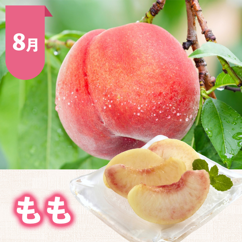 【定期便5回】おいしい！ジューシー！山形フルーツ バラエ