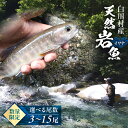 【ふるさと納税】尾数が選べる 白川村産 天然岩魚 イワナ 3尾 5尾 7尾 10尾 15尾 18cm以上 岩魚 天然 いわな イワナ 魚 川魚 BBQ バーベキュー アウトドア 岐阜県 白川郷 世界遺産 塩焼き 5000円 10000円 15000円 20000円 30000円 [S801]