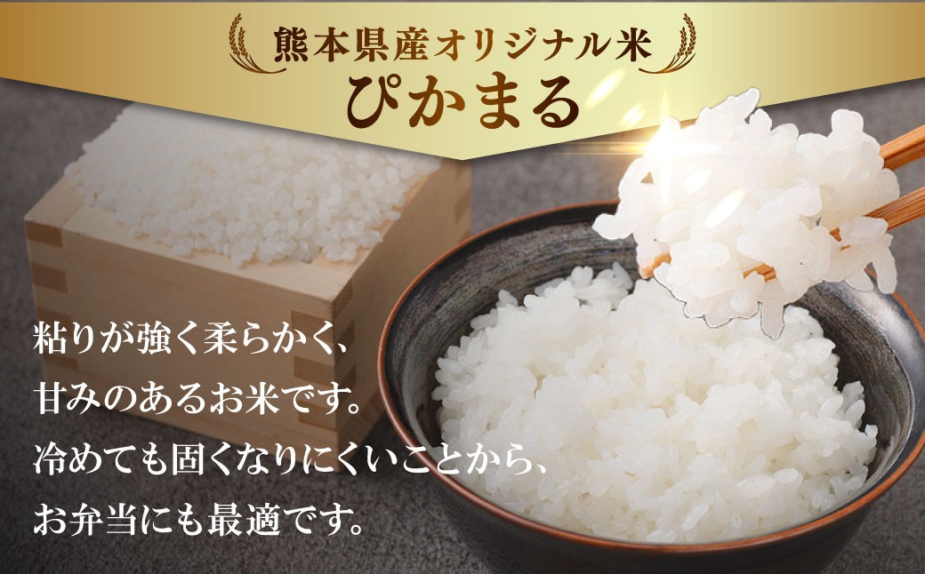 熊本県産ぴかまる 5kg×2袋