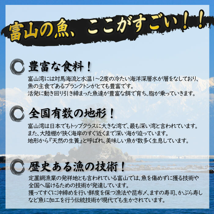 氷見産厳選一夜干し旬の詰合せ　【魚貝類・干物】_イメージ4