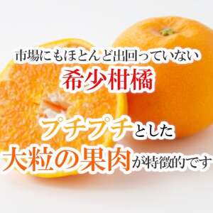 「甘柑はるみ」贈答用3kg【C79-23】【1474167】