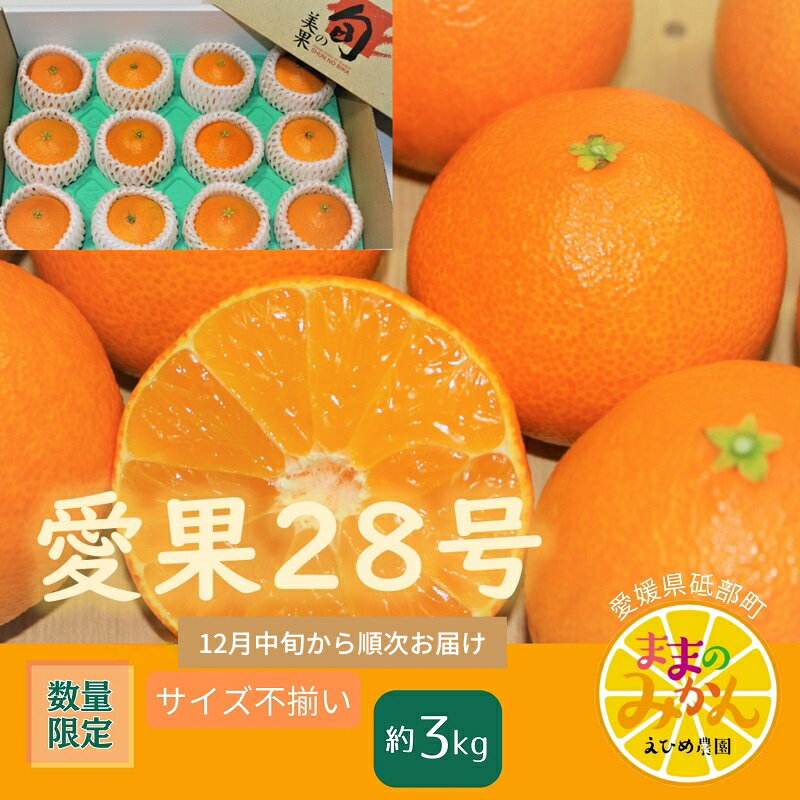 【ふるさと納税】【数量限定　先行予約】訳あり愛果28号サイズ不揃い約3キロ家庭用 12月中旬頃～順次発送〈産地直送　愛媛県　甘い　みかん　フルーツ〉　お届け：2025年12月中旬～2026年1月中旬