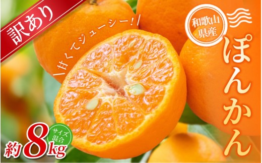 【訳あり】手選別 ぽんかん 約8kg 和歌山県産 2S~2Lサイズ混合※2026年1月上旬～2月上旬頃に順次発送【mrmt045】