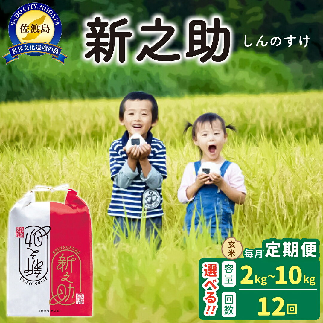 【ふるさと納税】【12か月定期便】米 新之助 玄米 2kg 5kg 10kg 選べる容量 令和8年産 佐渡島産 しんのすけ げんまい 単一原料米 大粒 ごはん 新潟県 佐渡市