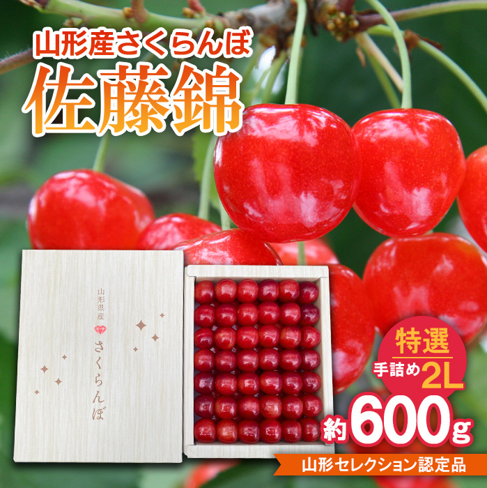 さくらんぼ 佐藤錦 特選 手詰め 2L 約600g 山形セレクション認定品 【令和8年産先行予約】FS25-718
