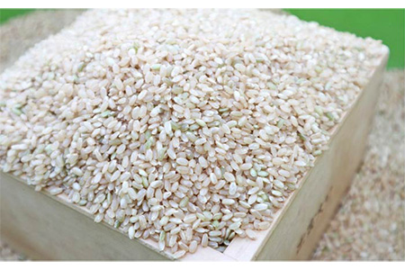 【 栽培期間中農薬不使用 】米 旋風 ミルキークイーン 玄米 5kg《 糸島 》【百笑屋】 [ABF006] 米 お米 玄米