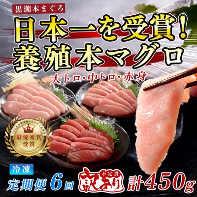 ふるさと納税 大月町 訳あり まぐろ マグロ 本鮪 黒潮本まぐろ 赤身 中トロ 大トロ 定期便 6回 計450g × 6回